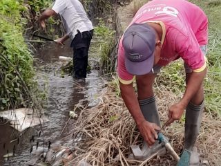 Camat Liang Anggang Pantau Pembersihan Drainase, Warga Laura Gelar Gotong Royong Antisipasi Banjir