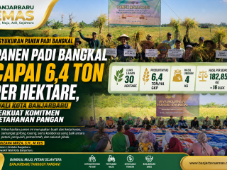 Panen Padi Bangkal Capai 6,4 Ton per Hektare, Wali Kota Banjarbaru Perkuat Komitmen Ketahanan Pangan