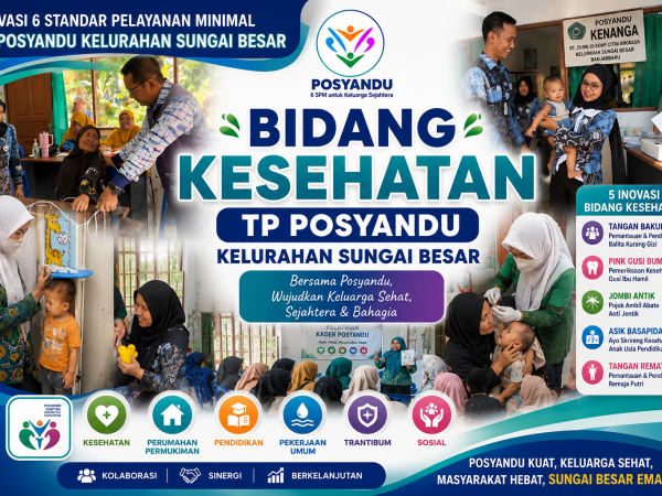 INOVASI 6 STANDAR PELAYANAN MINIMAL TP POSYANDU KELURAHAN SUNGAI BESAR