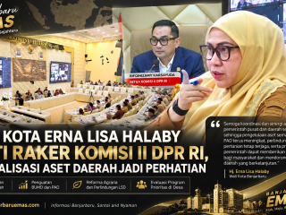 Wali Kota Erna Lisa Halaby Ikuti Raker Komisi II DPR RI, Optimalisasi Aset Daerah Jadi Perhatian