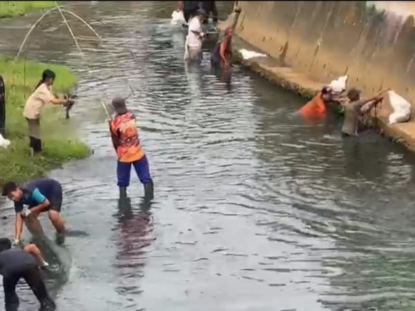 Warga Kemuning Kembali Gelar Lomba Tangkap Ikan Sapu-Sapu, Cara Tekan Ekosistem
